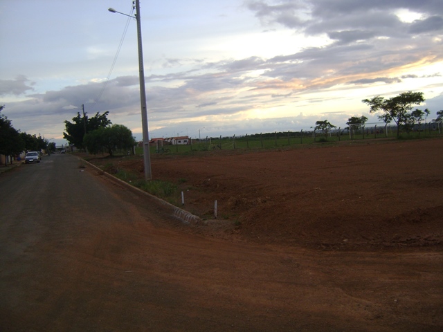 DSC05481
