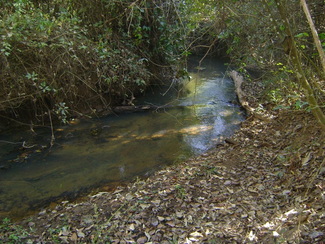 peixe01