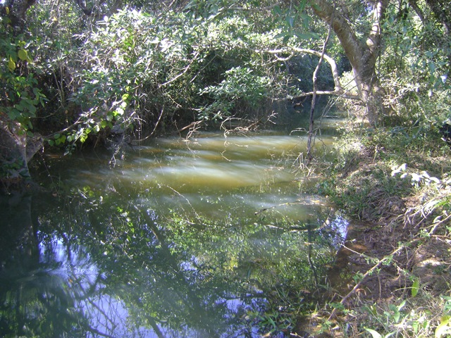 peixe02