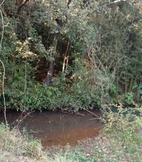 IMG-20170906-WA0064