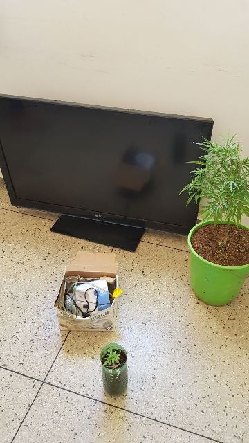 IMG-20170918-WA0057