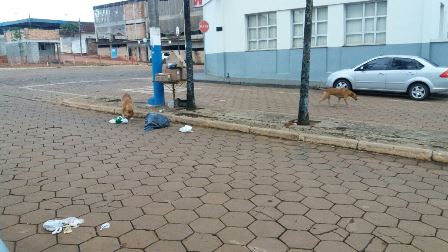 IMG-20180116-WA0091