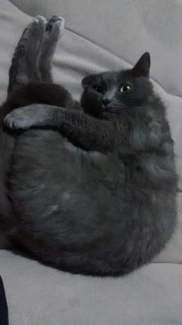 IMG-20180821-WA0024