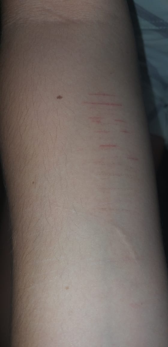 IMG-20191113-WA0251