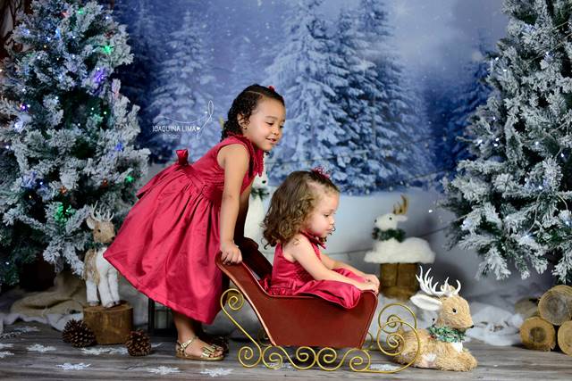 MARIA JÚLIA E VALENTINA...FELIZ NATAL!