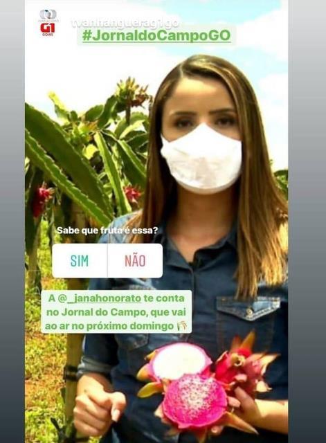 REPÓRTER JANAÍNA HONORATO EM CHAMADA DO JORNAL DO CAMPO
